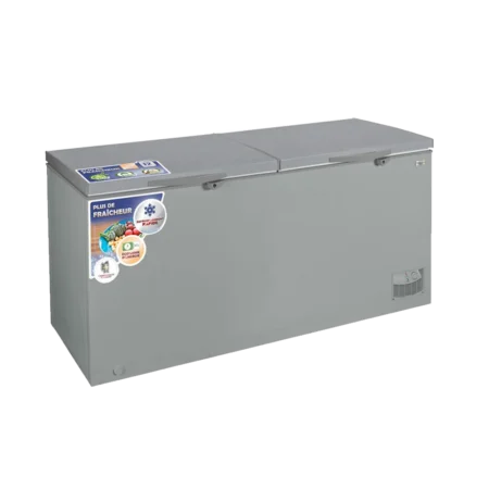 Nasco 800L 2-Star Double Door Commercial Chest Freezer| All-Purpose Compact Deep Freezer, Silver [NAS-1200FL-DD]